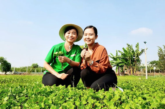 Đưa nông sản Việt sang trời Tây - Ảnh 1.