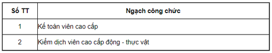 Bảng lương cán bộ, công chức, viên chức năm 2021 - Ảnh 3.
