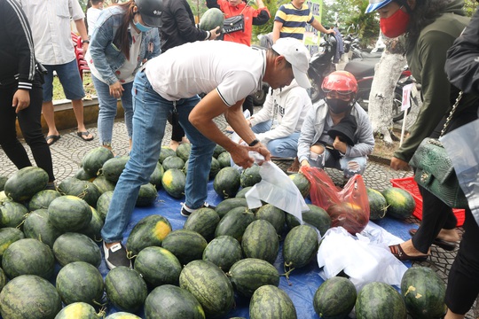 Một buổi sáng, người Hội An giải cứu hơn 7 tấn dưa hấu bí đường sang Trung Quốc - Ảnh 8.