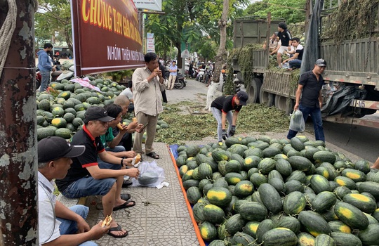 Một buổi sáng, người Hội An giải cứu hơn 7 tấn dưa hấu bí đường sang Trung Quốc - Ảnh 9.