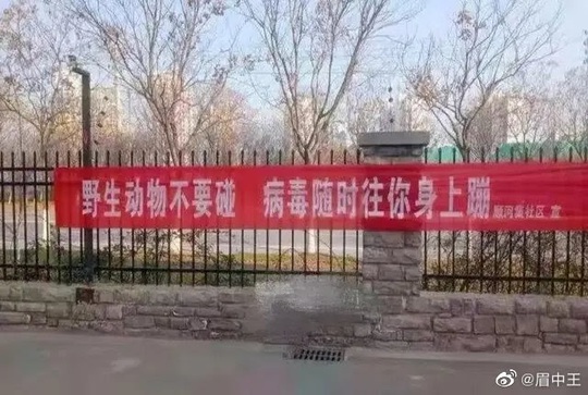 Băng rôn phòng chống virus corona “khó đỡ” ở Trung Quốc - Ảnh 13.