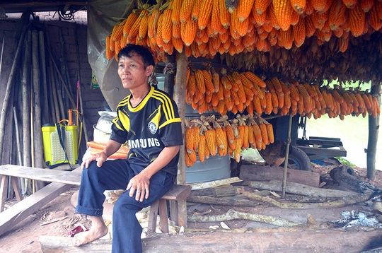 Điều gì tại khu rừng thiêng 300ha ở Quảng Ninh khiến lâm tặc sợ đến khiếp vía? - Ảnh 1.