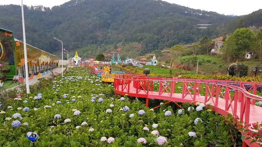 Cận cảnh vườn thượng uyển bay khổng lồ không phép ngay cửa ngõ Đà Lạt - Ảnh 9.