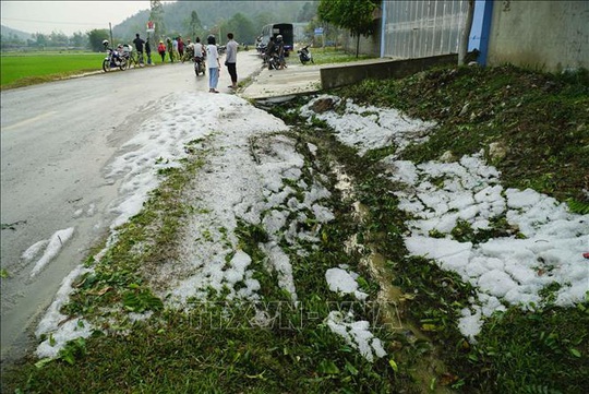 Mưa đá rơi trắng như tuyết tại Điện Biên - Ảnh 12.