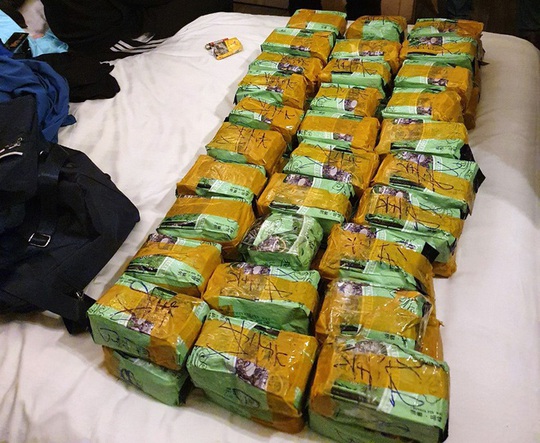 Huy động hàng trăm cảnh sát triệt phá đường dây buôn bán ma túy xuyên quốc gia, thu 446 kg ma túy - Ảnh 1.