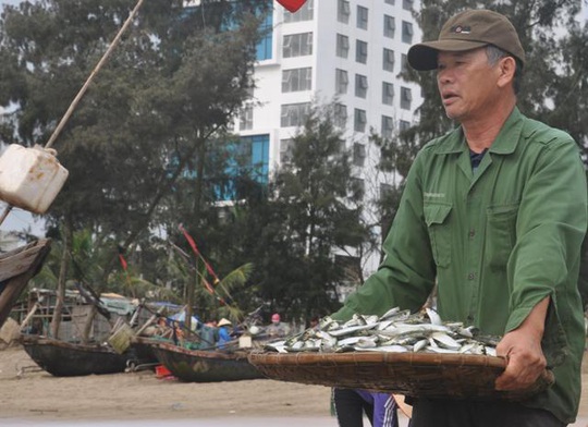 Nhiều người dậy thật sớm rủ nhau ra biển bắt hàng tấn cá trích - Ảnh 6.