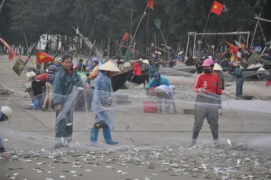 Nhiều người dậy thật sớm rủ nhau ra biển bắt hàng tấn cá trích - Ảnh 2.