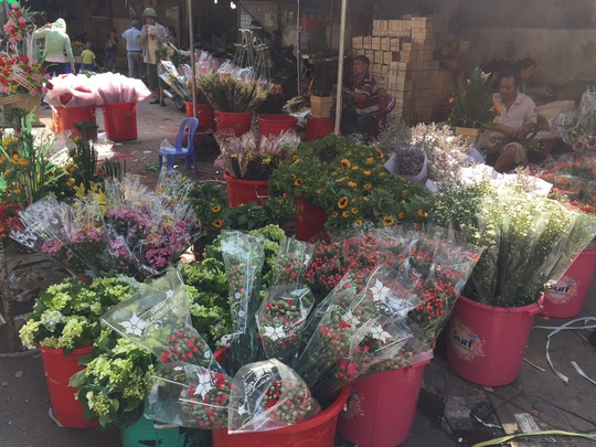 Người kinh doanh hoa khóc ròng dù sắp tới lễ 8-3 - Ảnh 1.