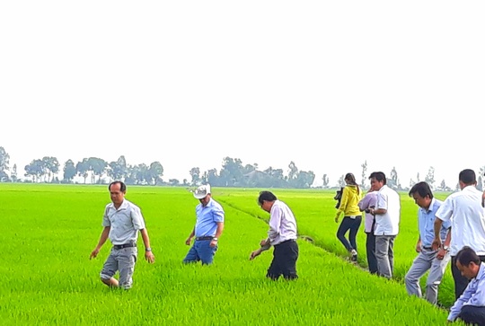 An Giang kiến nghị Thủ tướng cho xuất khẩu gạo đặc thù của tỉnh - Ảnh 1.