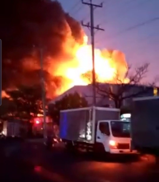 CLIP: Cháy lớn tại Công ty Đồng Xanh trong Khu công nghiệp Hạnh Phúc- Long An - Ảnh 5.