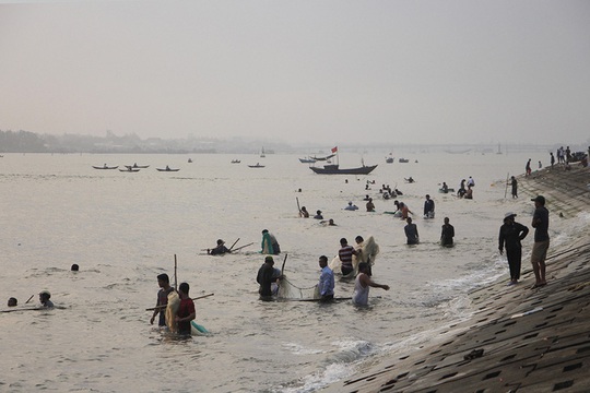 Đàn cá kình con vào sát kè biển Thuận An, nhiều người lao xuống vây bắt - Ảnh 1.