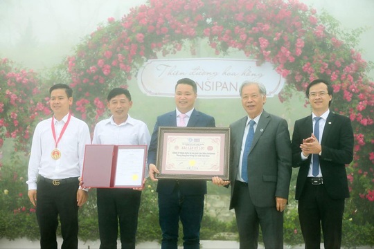 Ngắm thung lũng hoa hồng tuyệt đẹp nhận kỷ lục lớn nhất Việt Nam - Ảnh 2.