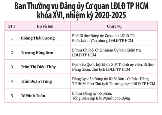Ban Chấp hành Đảng bộ Cơ quan LĐLĐ TP HCM khóa XVI, nhiệm kỳ 2020-2025 - Ảnh 2.