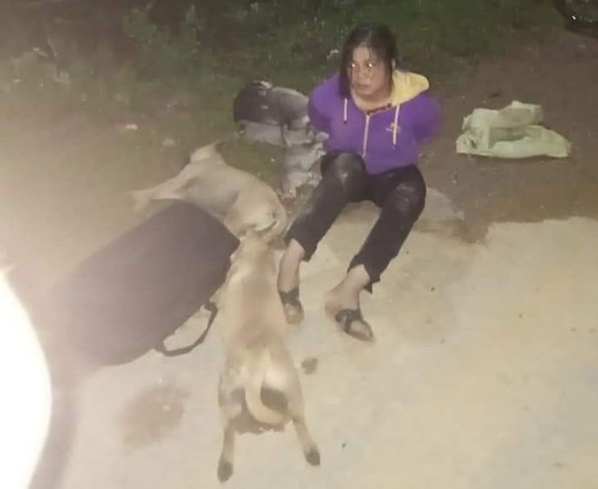 Bắt đôi nam nữ trộm 30 con chó, mèo trong đêm - Ảnh 2.