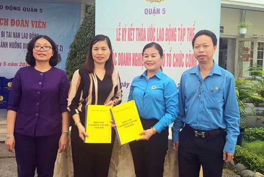 Tập trung bảo vệ, chăm lo cho đoàn viên - lao động - Ảnh 1.