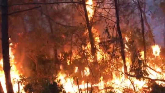 Triệu tập người phụ nữ đốt rác gây cháy rừng khiến hơn 1.000 người tham gia dập lửa - Ảnh 1.