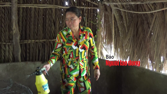 Mật phục bắt chủ trang trại bán cho dân con giống nhiễm dịch tả heo châu Phi - Ảnh 3.