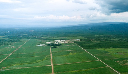 TTC Sugar tiếp tục mở rộng vùng nguyên liệu trồng mía organic tại Attapeu, Lào - Ảnh 2.