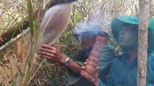 Niềm vui “phong ngạn” - Ảnh 1.