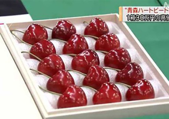Cherry Nhật đắt kỷ lục, về Việt Nam giá 6,6 triệu đồng/kg - Ảnh 2.
