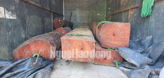 Lâm tặc lộng hành lái xe chở gỗ vi phạm tông thẳng lực lượng kiểm lâm - Ảnh 4.