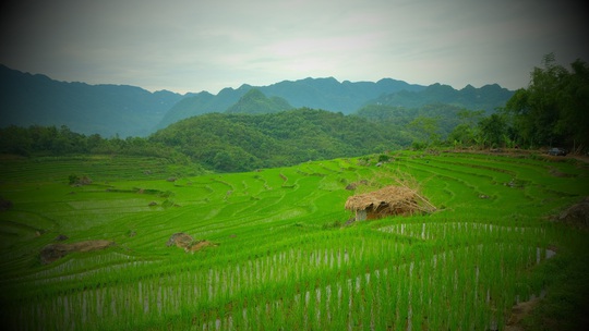 Mê mẩn với Pù Luông của xứ Thanh - Ảnh 2.
