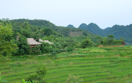 Mê mẩn với Pù Luông của xứ Thanh - Ảnh 11.