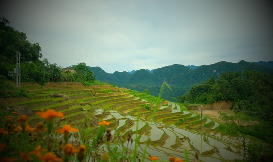 Mê mẩn với Pù Luông của xứ Thanh - Ảnh 9.