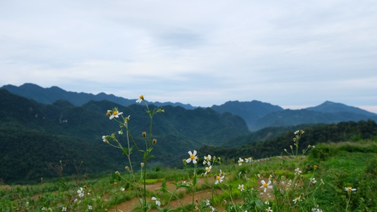 Mê mẩn với Pù Luông của xứ Thanh - Ảnh 7.