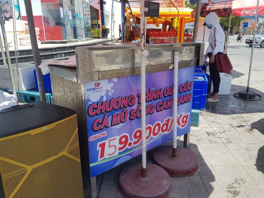 Cả ngàn tấn cá mú bí đầu ra, giá giảm một nửa vẫn khó giải cứu - Ảnh 1.