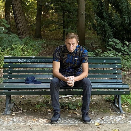 Nga phong tỏa tài sản chính trị gia đối lập Alexei Navalny - Ảnh 1.