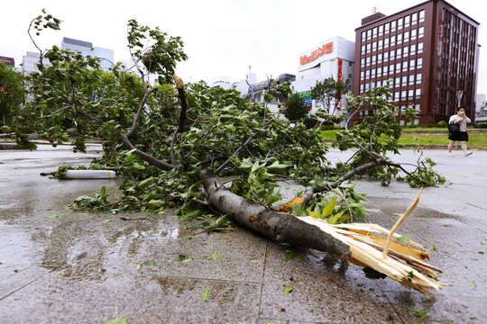 Nhật Bản: Đến nhà giám đốc trú bão Haishen, 2 thực tập sinh Việt Nam không may gặp nạn - Ảnh 4.