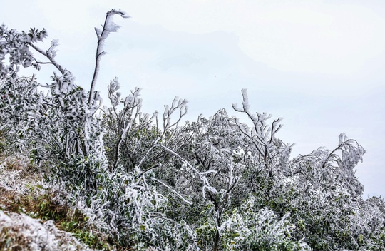 Hàng ngàn du khách bất chấp rét buốt lên đỉnh Mẫu Sơn ngắm băng tuyết - Ảnh 15.