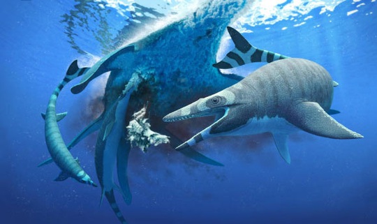 Sinh vật chưa từng thấy trên thế giới: khủng long trá hình cá mập - Ảnh 1.