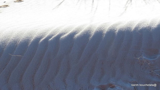 Băng giá phủ trắng sa mạc nóng nhất thế giới - Ảnh 6.