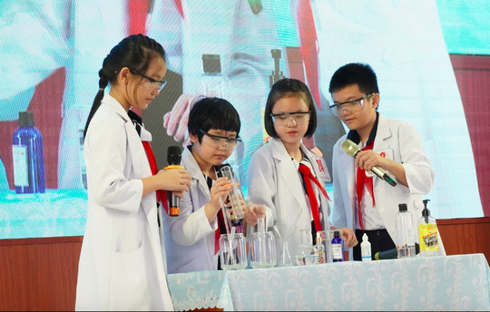 Hơn 200 học sinh tiểu học thi thuyết trình bằng tiếng Anh về khoa học - Ảnh 2.