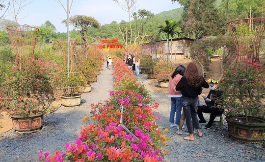 Thung lũng ngàn hoa - điểm check in lý tưởng của giới trẻ khi đến với Phủ Na - Ảnh 1.