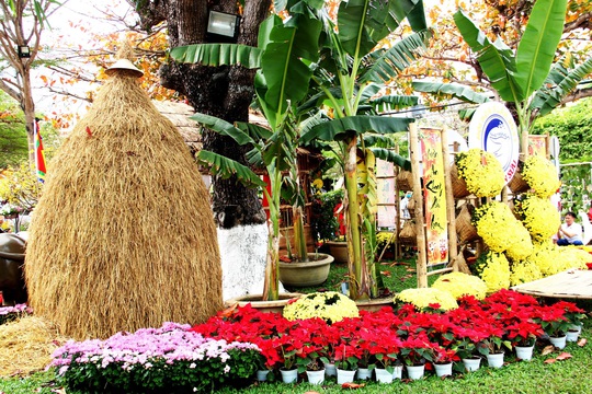 Bài dự thi Làm báo cùng Báo Người Lao Động: Tết hoa - Ảnh 3.