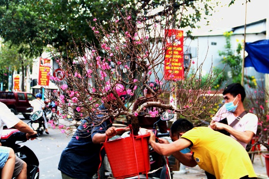 Bài dự thi Làm báo cùng Báo Người Lao Động: Tết hoa - Ảnh 2.