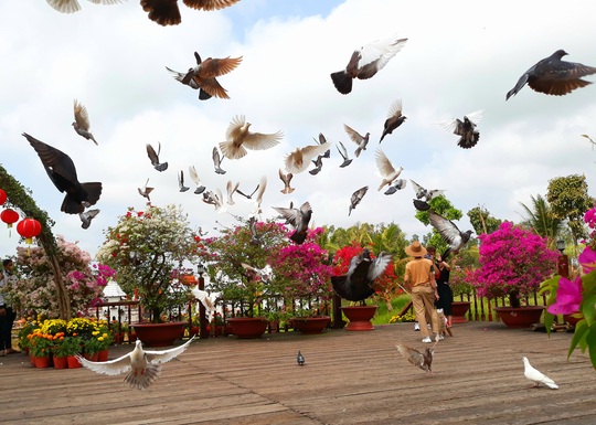 Thỏa sức check in chiếc cầu tre dài nhất Việt Nam giữa rừng tràm - Ảnh 6.