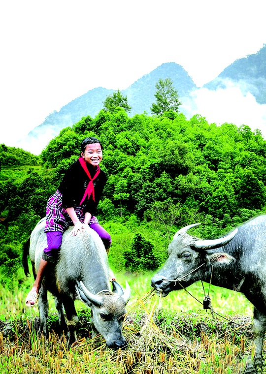 Tết “thời trâu cày” - Ảnh 1.