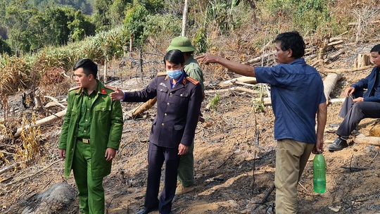 Lâm Đồng tái xuất tình trạng phá rừng phòng hộ, lấn chiếm đất - Ảnh 3.