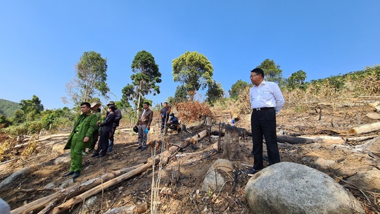 Lâm Đồng tái xuất tình trạng phá rừng phòng hộ, lấn chiếm đất - Ảnh 6.