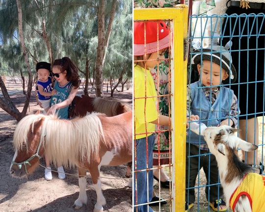 Đến FLC Zoo Safari Park Quy Nhon ngắm chú hổ sơ sinh Bengal cực đáng yêu - Ảnh 10.