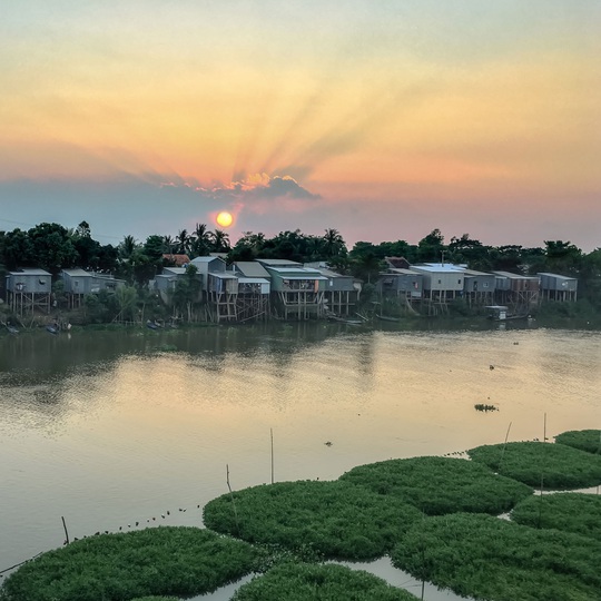 Tham quan vùng Biên giới Tây Nam Việt Nam và khám phá vẻ đẹp khó quên của cánh đồng lúa chín đồng thời thấy được cuộc sống của người dân nơi đây và sự cách mạng của họ trong quá khứ.