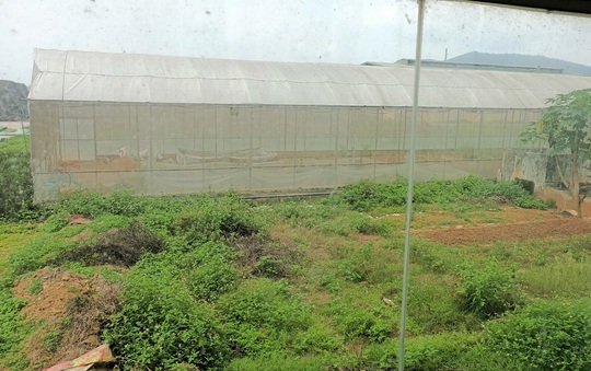 Trung tâm nông nghiệp 17 tỉ đồng ở Thanh Hóa xây xong để làm... cảnh - Ảnh 12.