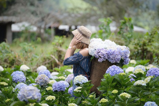 Bay Đà Lạt cùng Vietravel Airlines với giá siêu tiết kiệm - Ảnh 3.