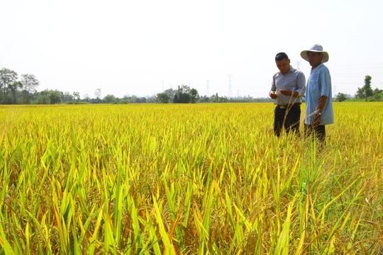 Bộ trưởng Lê Minh Hoan: “Chúng ta quan tâm đến đại bàng nhưng đừng quên chim sẻ! - Ảnh 3.