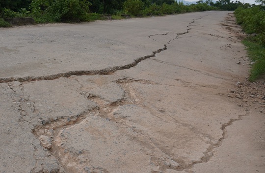 Mặt đê sông Chu ở Thanh Hóa vỡ, nứt toác khắp nơi - Ảnh 11.