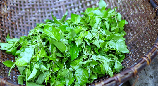 Trà hoa xuyến chi lạ mà quen! - Ảnh 5.